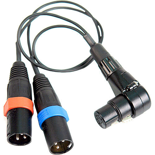 Remote Audio CAZXSTE XLR5F to XLRM3 x 2 Cable