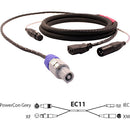 Pro Co Sound EC11 Siamese Twin AC and Audio Combo Cable (10')