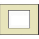 FSR FL-500P-2.25-DECORA 2 Receptacle Plate