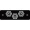 FSR IPS-AV231S-BLK  IPS Audio/Video Insert (Black)