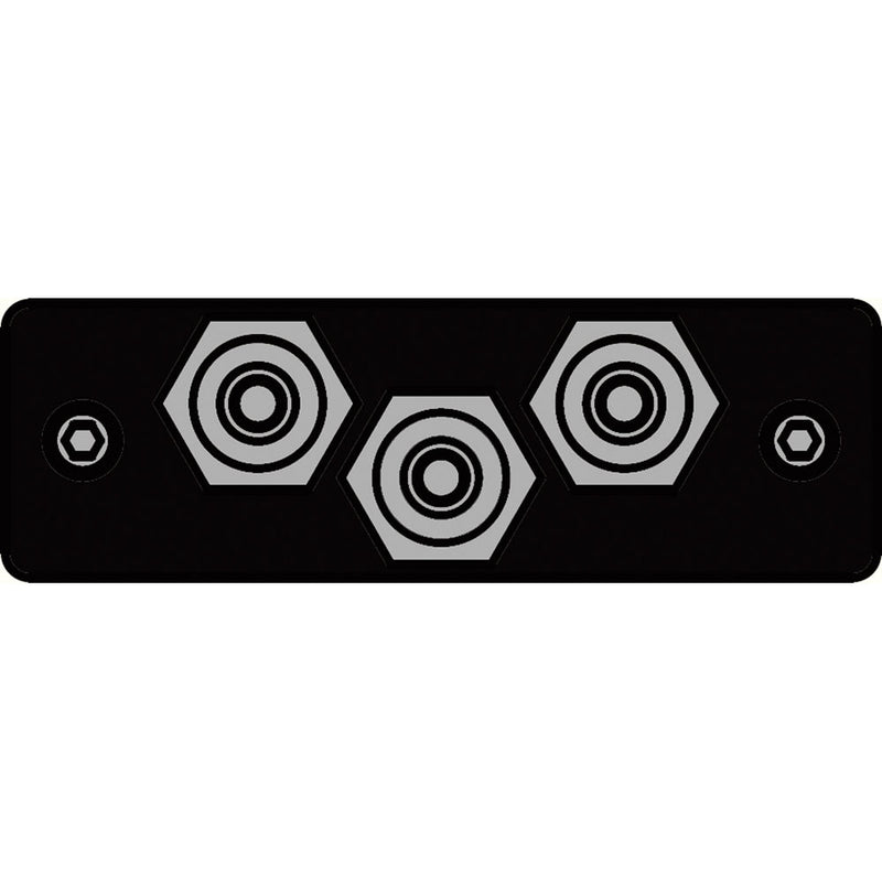 FSR IPS-AV231S-BLK  IPS Audio/Video Insert (Black)