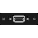 FSR IPS-V610S-BLK HDMI Female  to HDMI Female Insert Plate (Black)