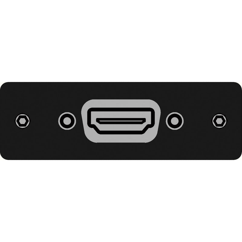 FSR IPS-V610S-BLK HDMI Female  to HDMI Female Insert Plate (Black)