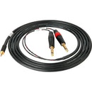 Sescom SES-IPOD-QTRM10 3.5mm Stereo to Dual 1/4" Mono Audio Cable (10')