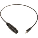 Remote Audio XLRF to 1/8" (3.5mm) Timecode Cable (3')