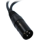 Remote Audio Y Cable (XLR Male to 2 x XLR Female) - 8"