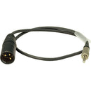 Ambient Recording AK-XLR3M/3.5EW 3.5mm TRS Screw Lock to XLR-3M Adapter Cable