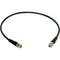 Remote Audio CABNC50M802 50 BNC Antenna Cable (2')