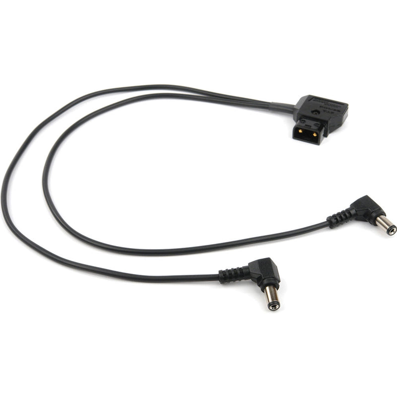 Remote Audio DC Power Cable (Y-Type, 14")