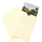 Print File NP46 4 x 6" Buffered Print Envelope (100-Pack)