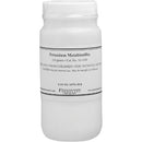 Photographers' Formulary Potassium Metabisulfite - 100 Grams