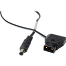 Laird Digital Cinema BlackMagic Design Power Cable - 2.5mm DC Plug to Anton Bauer P-TAP 5 ft