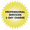 Promise Technology Professional Services 1-Day Charge