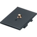 Linhof Quickfix I Quick Release Plate with 1/4"-20 Screw