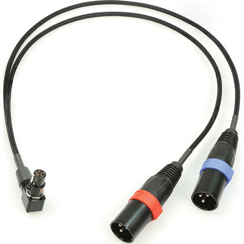 Remote Audio Balanced Stereo Breakout Cable TA5F RA to (2) XLR3M (18")