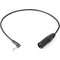 Remote Audio Unbalanced Adapter Cable 3.5mm RA TS Jack to 3-Pin XLR Male with 40 dB Pad (18")