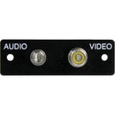 FSR IPS-AV922S Audio/Video Plate (Labeled, Black)