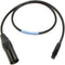 Cable Techniques CT-PTXR-24 TA3F to XLR-3M Cable for Sound Devices (24")