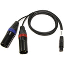 Cable Techniques TA3F to Two 3-Pin XLR Male Tape Output Y-Cable Adapter for Sound Devices (24")