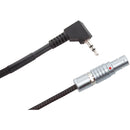 Redrock Micro microRemote Run/Stop Cable for LANC Canon Video Camera