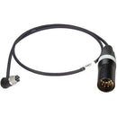 Ambient Recording Receiver Slot V-Mount Chassis with 5-Pin XLR Male Connection Cable (25.6")