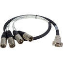 Laird Digital Cinema Premium HD15 to XLR Male Analog Audio I/O Breakout Cable for Ensemble Designs BrightEye 16/24 (3')