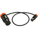 Cable Techniques CT-LPS-FX3T-12N Low-Profile LPXLR-3F to TA3F Cable (12", Orange)