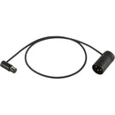 Cable Techniques 24" Low-Profile LPS TA3F To LPXLR-3M Cable (Black)