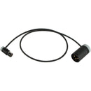 Cable Techniques 24" Low-Profile LPS TA3F To LPXLR-3M Cable (Gray)