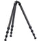 Really Right Stuff TVC-24 Versa Series MK2 Carbon Fiber Tripod