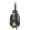 APC C19 to L6-20P Power Cord (12')