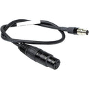 Remote Audio AES3 Output to DCHT Transmitter Cable (XLR3F to TA6F, 18")