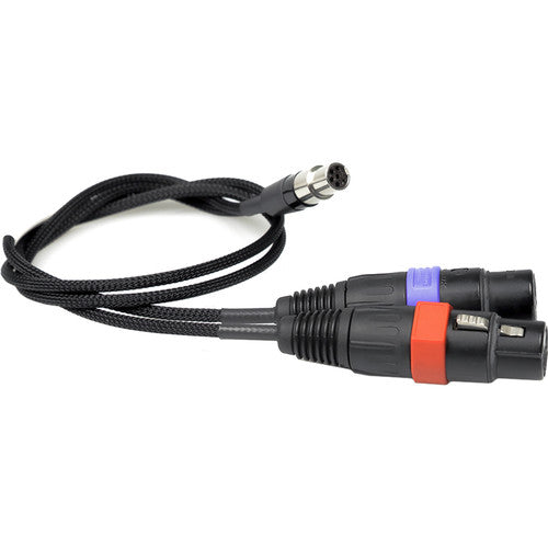 Remote Audio Dual Unbalanced CH1 & CH2 Line-Level Breakout Cable to Lectrosonics DCHT Transmitter (18")