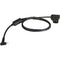 IndiPRO Tools 24" Power Cable, P-Tap to Blackmagic Pocket Camera