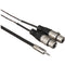 Pro Co Sound Stereo Mini (3.5mm) to 2 XLR Female Soundcard Patch Y-Cable - 3'