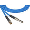 Laird Digital Cinema Mid-Size Video Patch Plug Male to BNC Video Patch Cable (3', Blue)