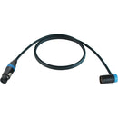 Cable Techniques Straight XLR Female to Low-Profile Right-Angle XLR Male Stage & Studio Mic Cable (Blue Ring/Cap, 6')