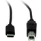 Rocstor USB Type-C to USB Type-B Male Cable (3', Black)