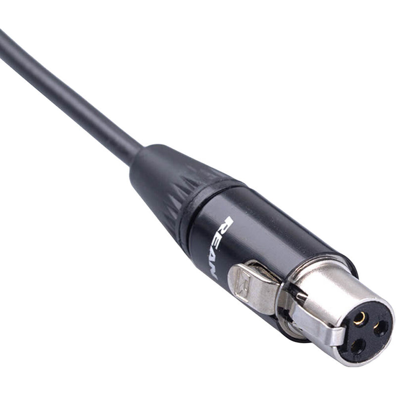 Schoeps K 5 L-TA3, 16' Cable, Lemo to TA3F (Mini XLR3F) for CCM L or CMC 1 L, for Balanced TA3 Inputs with +