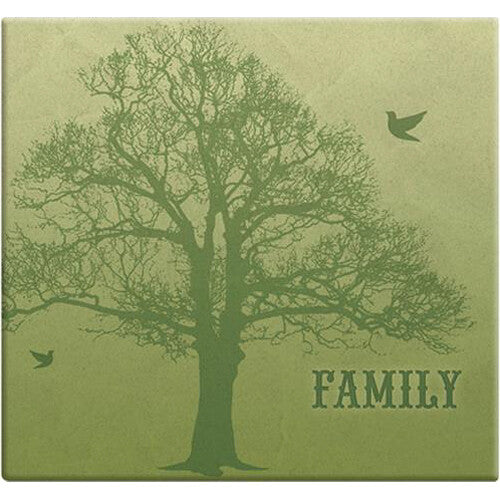 MCS 12 x 12 Expressions Family Tree Scrapbook