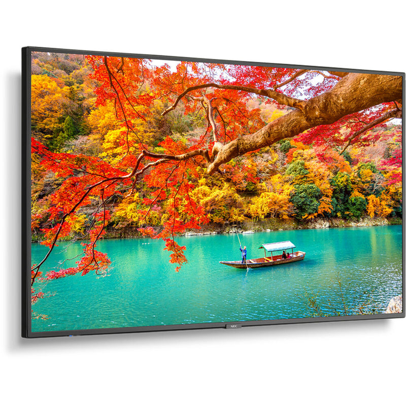 Sharp MA Series 43" 4K Commercial Display with NEC Media Player and Raspberry Pi Compute Module 4 SoC