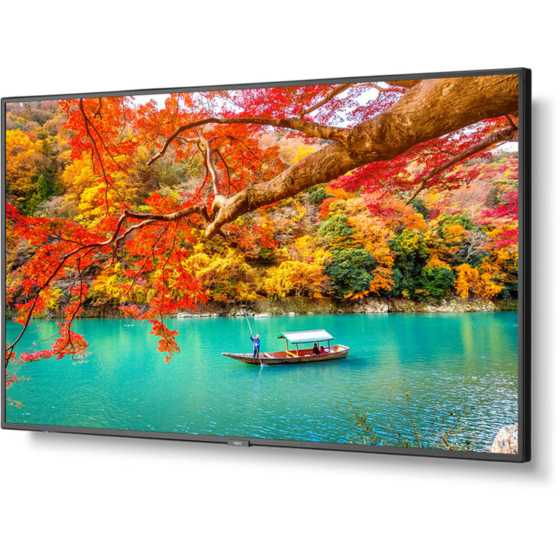 Sharp MA Series 43" 4K Commercial Display with NEC Media Player and Raspberry Pi Compute Module 4 SoC