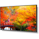 Sharp MA Series 55" 4K Commercial Display with NEC Media Player and Raspberry Pi Compute Module 4 SoC