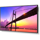 Sharp ME Series 55" 4K Commercial Display with Intel Celeron Computer