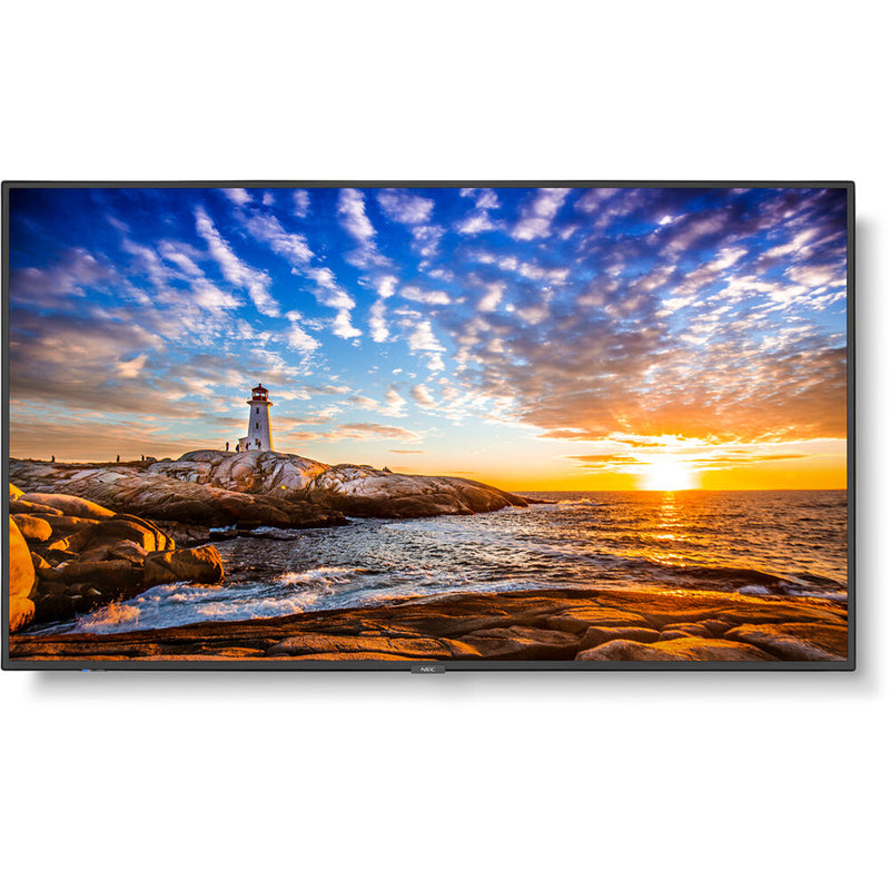 Sharp P Series 55" 4K Commercial Display with Intel Celeron Computer