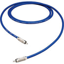 Pro Co Sound Digital S/PDIF RCA Male to RCA Male Patch Cable - 2'