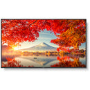 Sharp MultiSync MA 55" Class HDR 4K UHD Digital Signage IPS LED Display