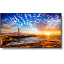 Sharp MultiSync P555 55" Class HDR 4K UHD Digital Signage IPS LED Display