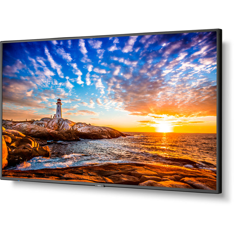 Sharp MultiSync P555 55" Class HDR 4K UHD Digital Signage IPS LED Display