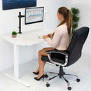 Mount-It! Desk Mount for 13 to 32" Displays